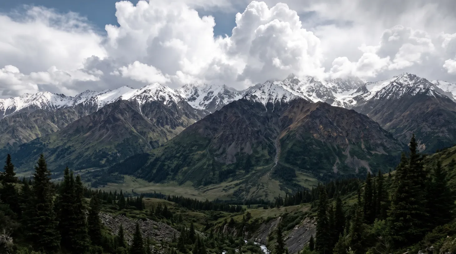 Vi una cordillera con los picos de las montañas nevados a ¼ de su altura.